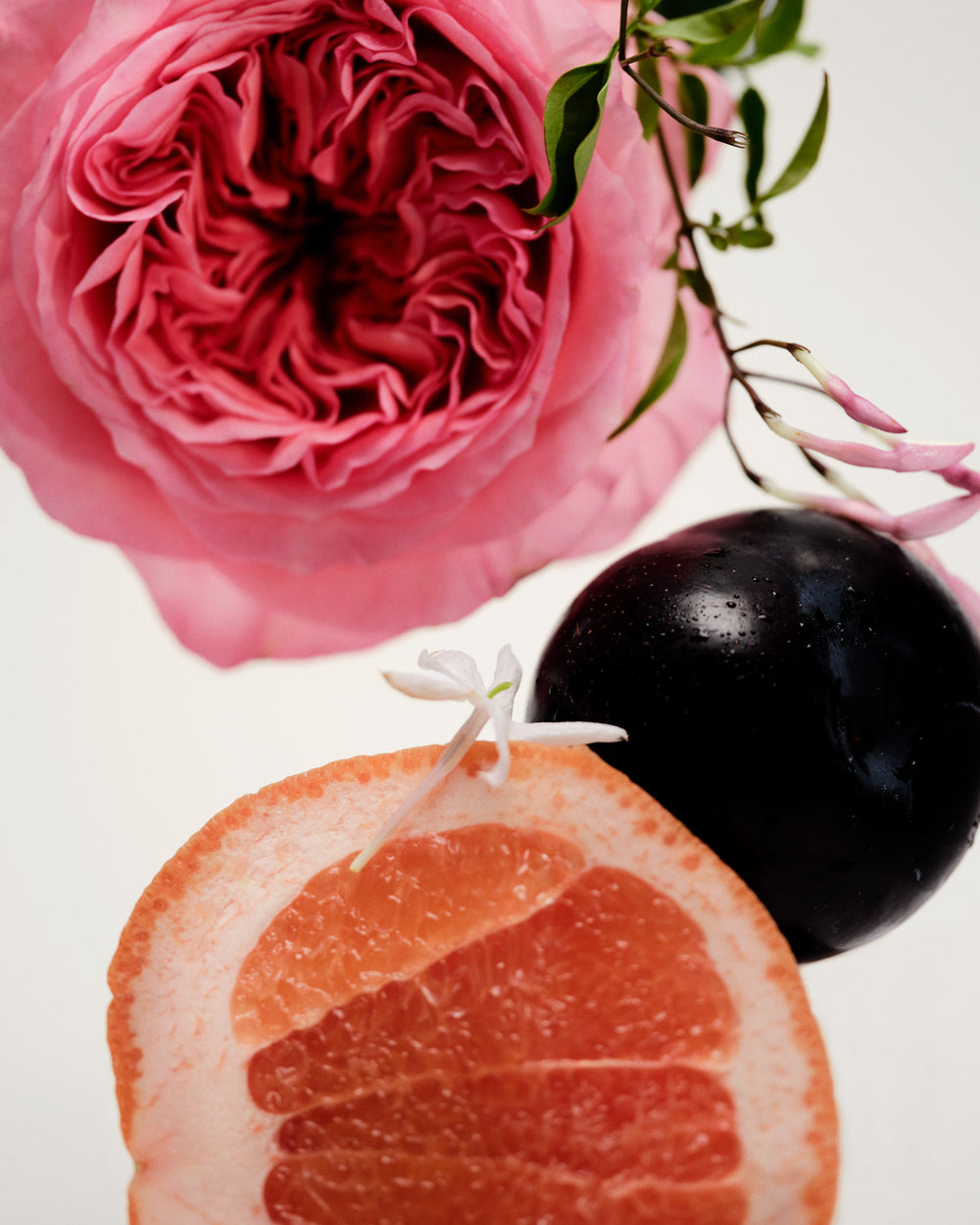 Maison Louis Marie No. 14 Icila Diffuser