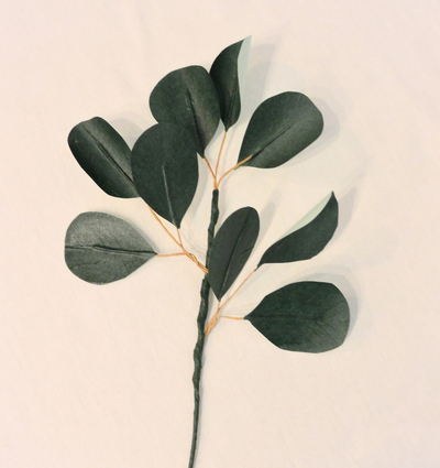 Paper Eucalyptus