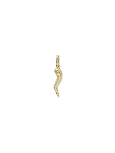 Large Cornicello 14k Gold Charm