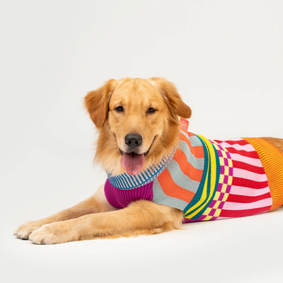 Pattern Patch Dog Sweater - Rainbow